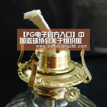 【PG电子官方入口】中国篮球协会关于组织国家三人篮球队集训备战的函(图3) PG官方网站