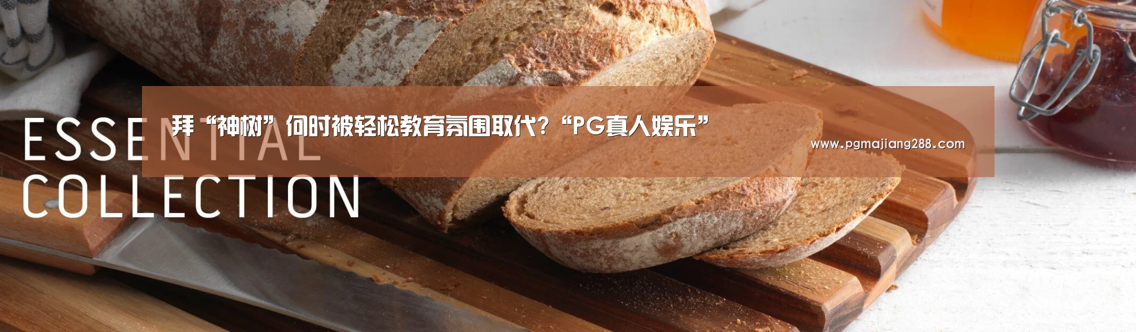 拜“神树”何时被轻松教育氛围取代?“PG真人娱乐”(图1) PG真人娱乐