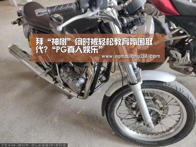 拜“神树”何时被轻松教育氛围取代?“PG真人娱乐”(图2) PG真人娱乐