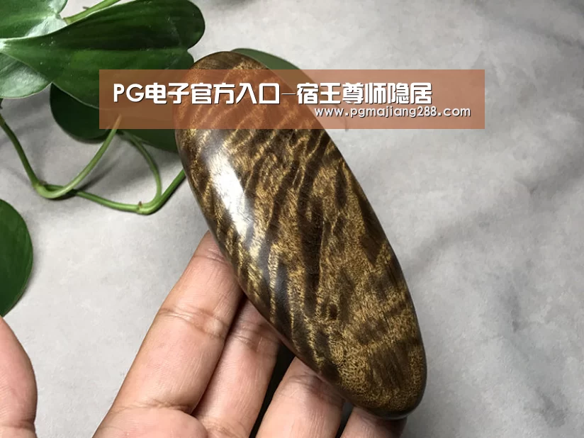 PG官方网站