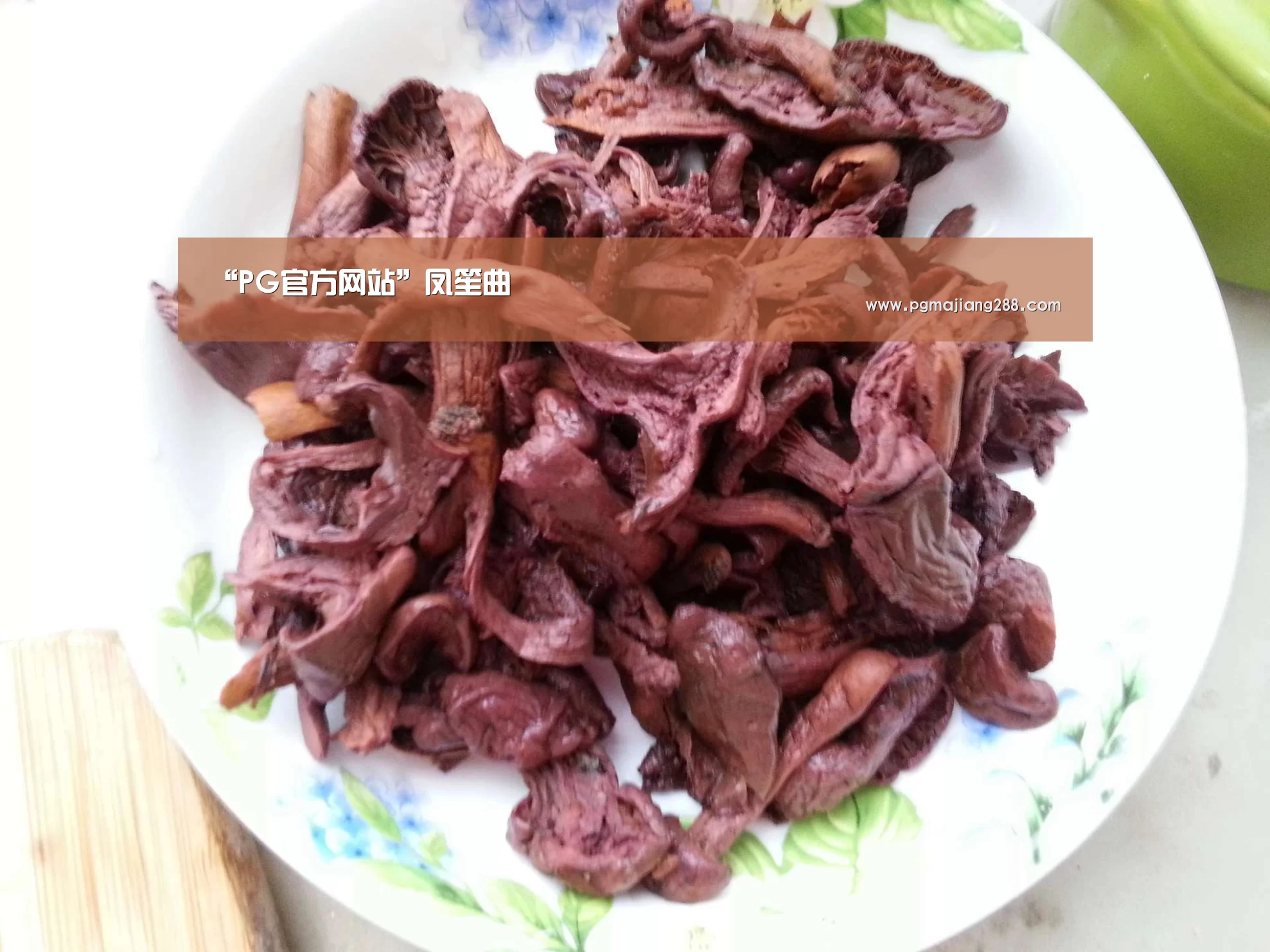 PG麻将在线玩