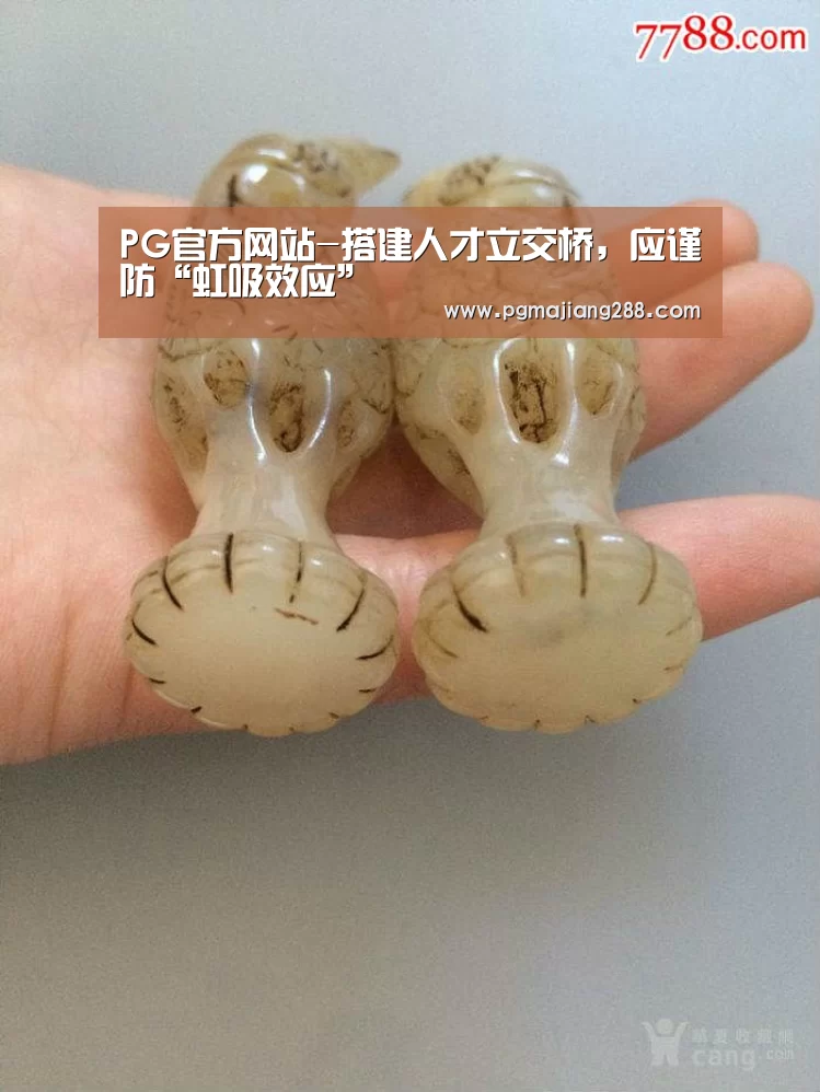 PG官方网站-搭建人才立交桥,应谨防“虹吸效应”(图1) PG真人娱乐