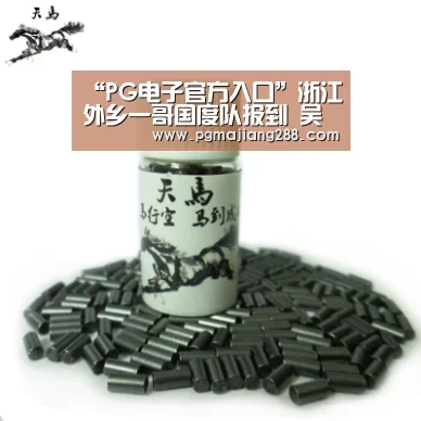 PG电子官方入口