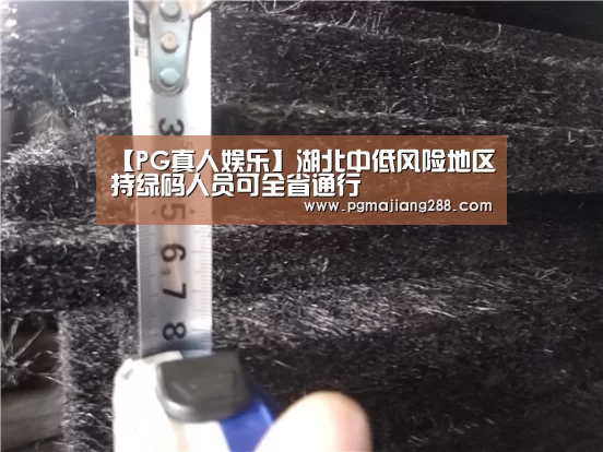 【PG真人娱乐】湖北中低风险地区持绿码人员可全省通行(图2) PG官方网站