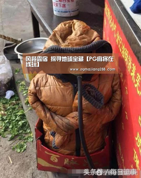 风餐露宿 探寻地球宝藏【PG麻将在线玩】(图1) PG官方网站
